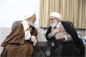 دبیر شورای عالی با آیت الله سلیمانی دیدار کرد