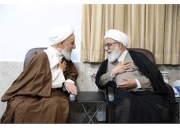 دبیر شورای عالی با آیت الله سلیمانی دیدار کرد