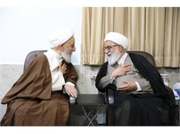 دبیر شورای عالی با آیت الله سلیمانی دیدار کرد